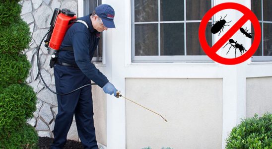 Boyalık Akrep İlaçlama böcek ilaçlama ve haşere kontrolü — ilaclama-tr.com
